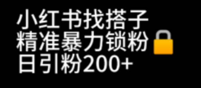 小红书找搭子暴力精准锁粉+引流日引200+精准粉-智宇达资源网