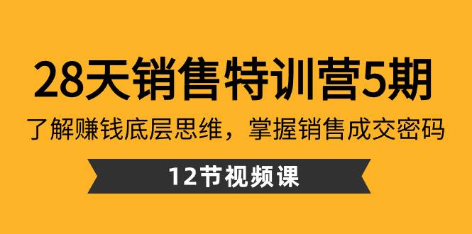 28天·销售特训营5期：了解赚钱底层思维，掌握销售成交密码（12节课）-智宇达资源网