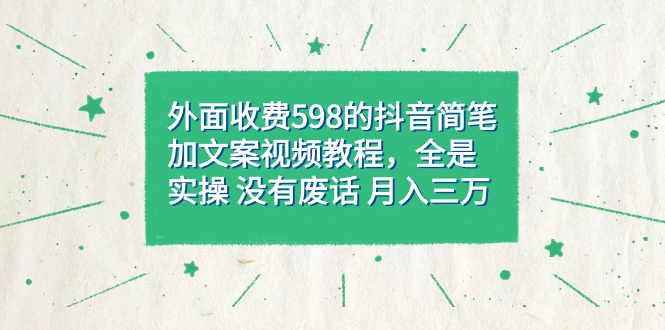 外面收费598抖音简笔加文案教程，全是实操 没有废话 月入三万（教程+资料）-智宇达资源网