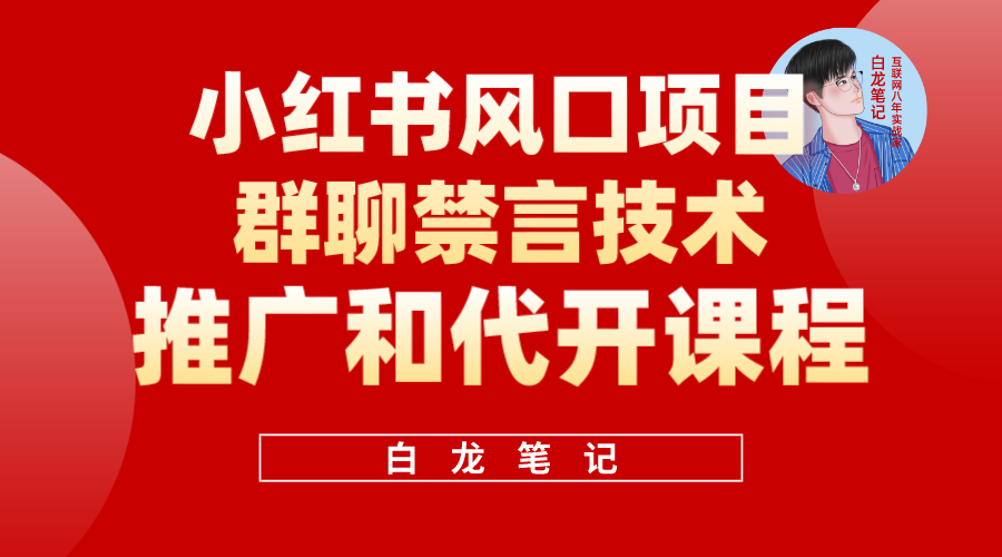 小红书风口项目日入300+，小红书群聊禁言技术代开项目，适合新手操作-智宇达资源网