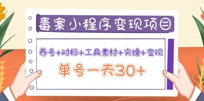 毒案小程序变现项目：养号+对标+工具素材+实操+变现-智宇达资源网