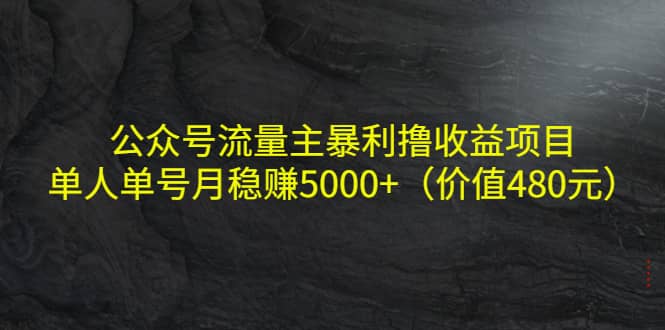 公众号流量主暴利撸收益项目，单人单号月稳赚5000+（价值480元）-智宇达资源网