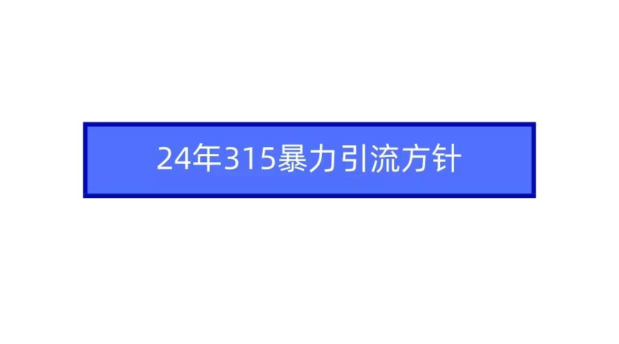 2024年315暴力引流方针-智宇达资源网