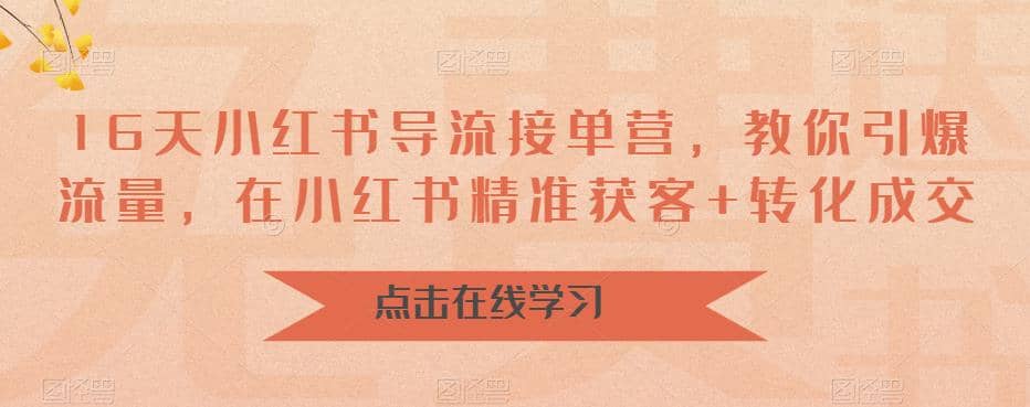 16天-小红书 导流接单营，教你引爆流量，在小红书精准获客+转化成交-智宇达资源网