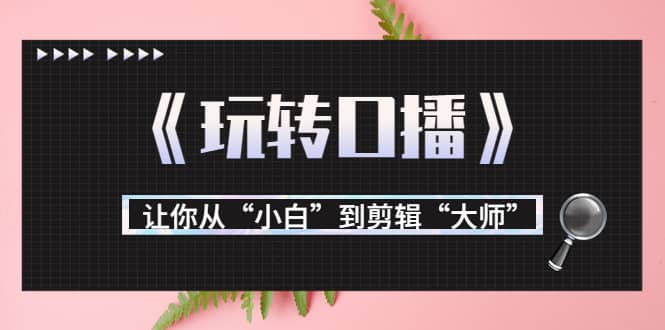 月营业额700万+大佬教您《玩转口播》让你从“小白”到剪辑“大师”-智宇达资源网