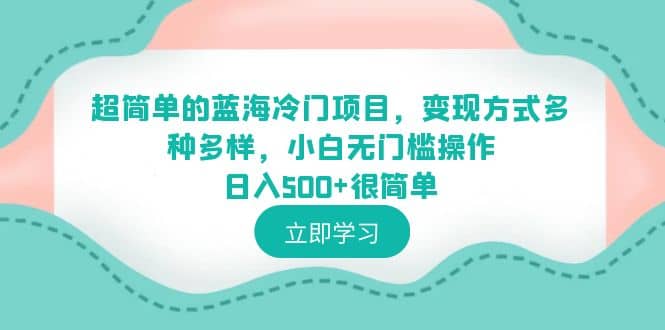 超简单的蓝海冷门项目，变现方式多种多样，小白无门槛操作日入500+很简单-智宇达资源网