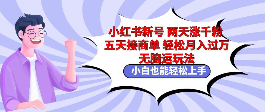 小红书新号两天涨千粉五天接商单轻松月入过万 无脑搬运玩法 小白也能轻…-智宇达资源网