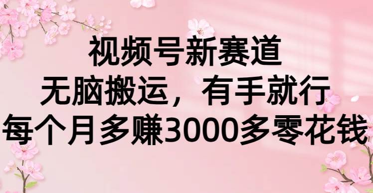 视频号新赛道，无脑搬运，有手就行，每个月多赚3000多零花钱-智宇达资源网