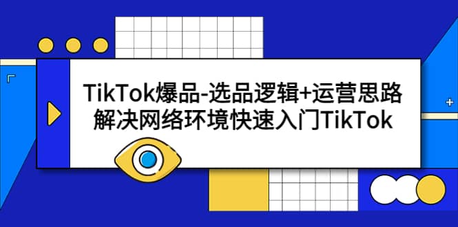 TikTok爆品-选品逻辑+运营思路：解决网络环境快速入门TikTok-智宇达资源网