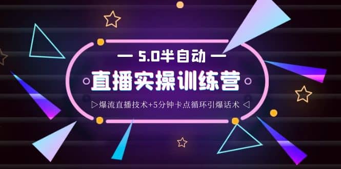 蚂蚁·5.0半自动直播2345打法，半自动爆流直播技术+5分钟卡点循环引爆话术-智宇达资源网