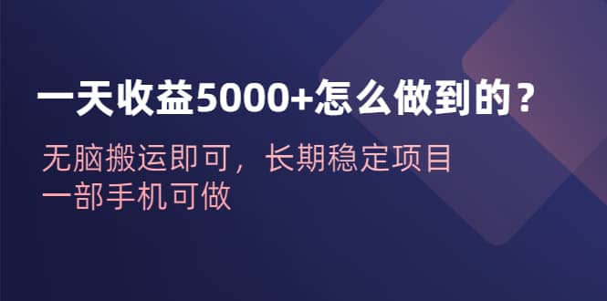 图片[1]-一天收益5000+怎么做到的？无脑搬运即可，长期稳定项目，一部手机可做-智宇达资源网