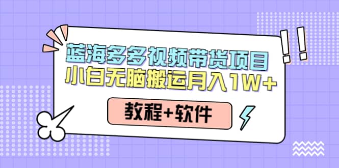 人人都能操作的蓝海多多视频带货项目 小白无脑搬运（教程+软件）-智宇达资源网