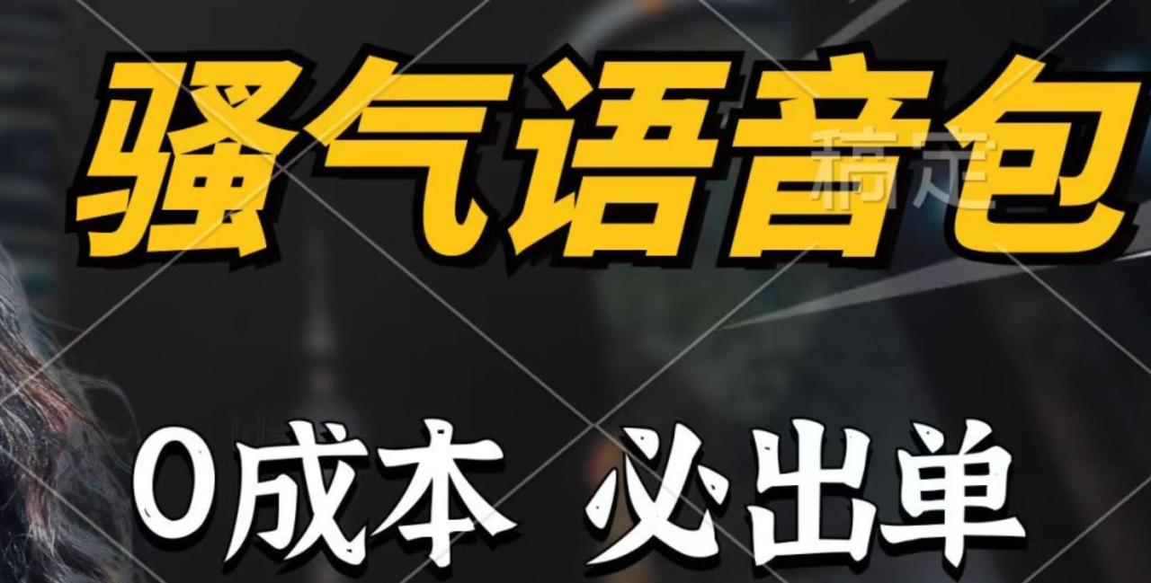 骚气语音包，0成本一天1000+，闭着眼也能出单，详细教程！-智宇达资源网