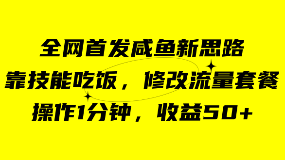 咸鱼冷门新玩法，靠“技能吃饭”，修改流量套餐，操作1分钟，收益50+-智宇达资源网