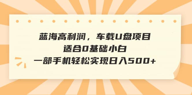 蓝海高利润，车载U盘项目，适合0基础小白，一部手机轻松实现日入500+-智宇达资源网