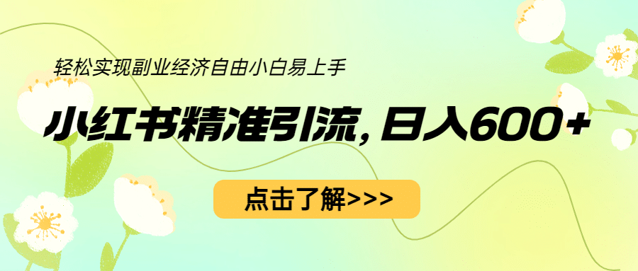 小红书精准引流，小白日入600+，轻松实现副业经济自由（教程+1153G资源）-智宇达资源网