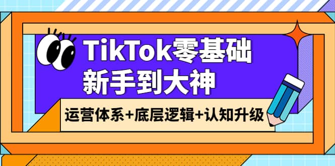 TikTok零基础新手到大神：运营体系+底层逻辑+认知升级（9节系列课）-智宇达资源网