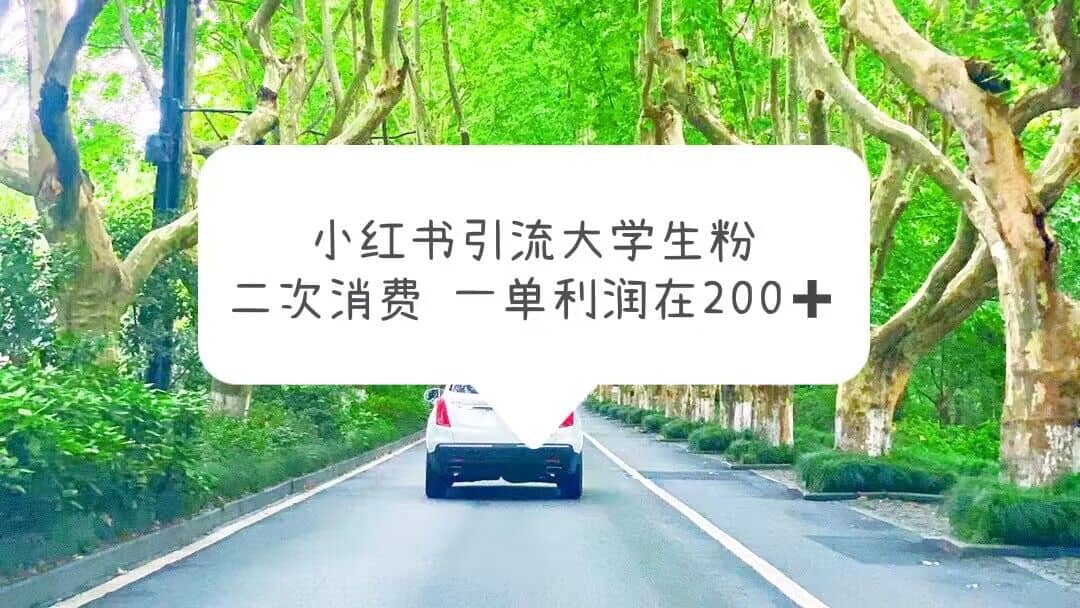 小红书引流大学生粉，变现项目，一单利润在200+（教程+资源）-智宇达资源网