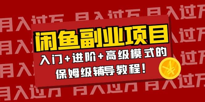 月入过万闲鱼副业项目：入门+进阶+高级模式的保姆级辅导教程-智宇达资源网