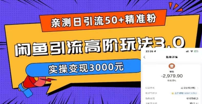 实测日引50+精准粉，闲鱼引流高阶玩法3.0，实操变现3000元-智宇达资源网