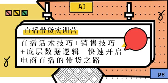 直播带货实训营：话术技巧+销售技巧+底层数据逻辑 快速开启直播带货之路-智宇达资源网