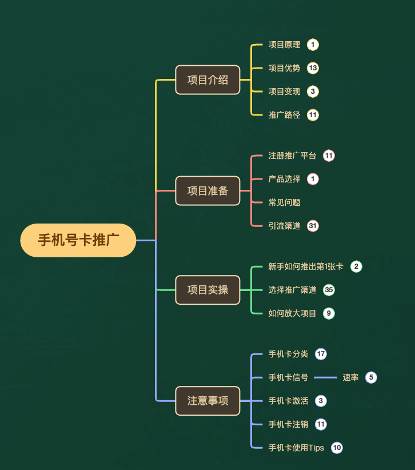 一单收益200+拆解外面卖3980手机号卡推广项目（内含10多种保姆级推广玩法）-智宇达资源网