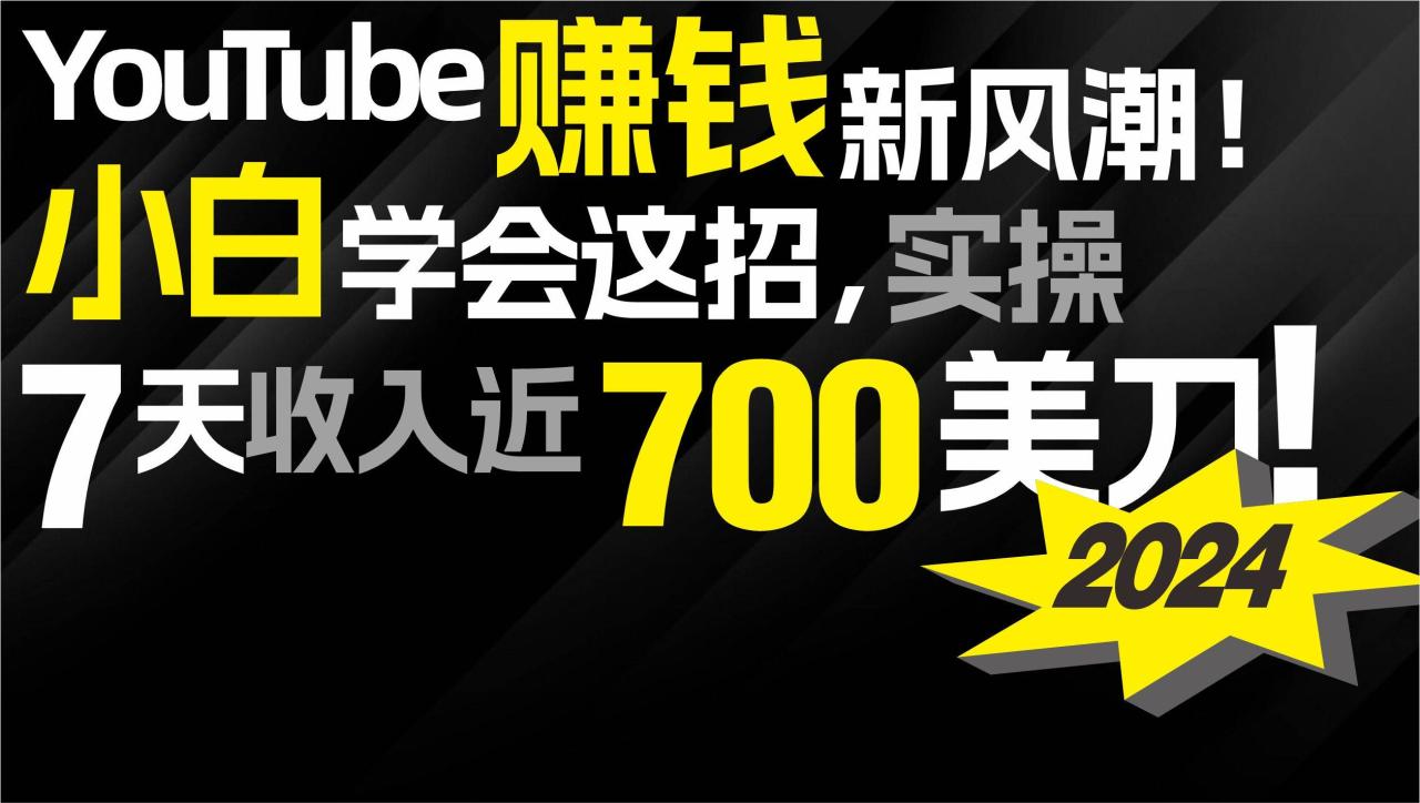 2024 YouTube赚钱新风潮！小白学会这招，7天收入近7百美金！-智宇达资源网