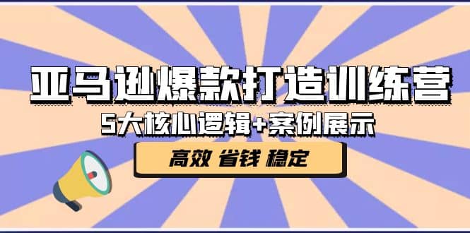 亚马逊爆款打造训练营：5大核心逻辑+案例展示 打造爆款链接 高效 省钱 稳定-智宇达资源网