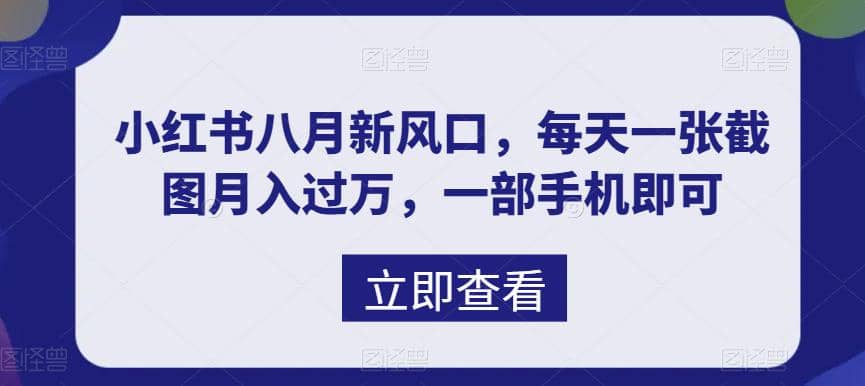 八月新风口，小红书虚拟项目一天收入1000+，实战揭秘-智宇达资源网