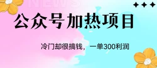 冷门公众号加热项目，一单利润300+-智宇达资源网