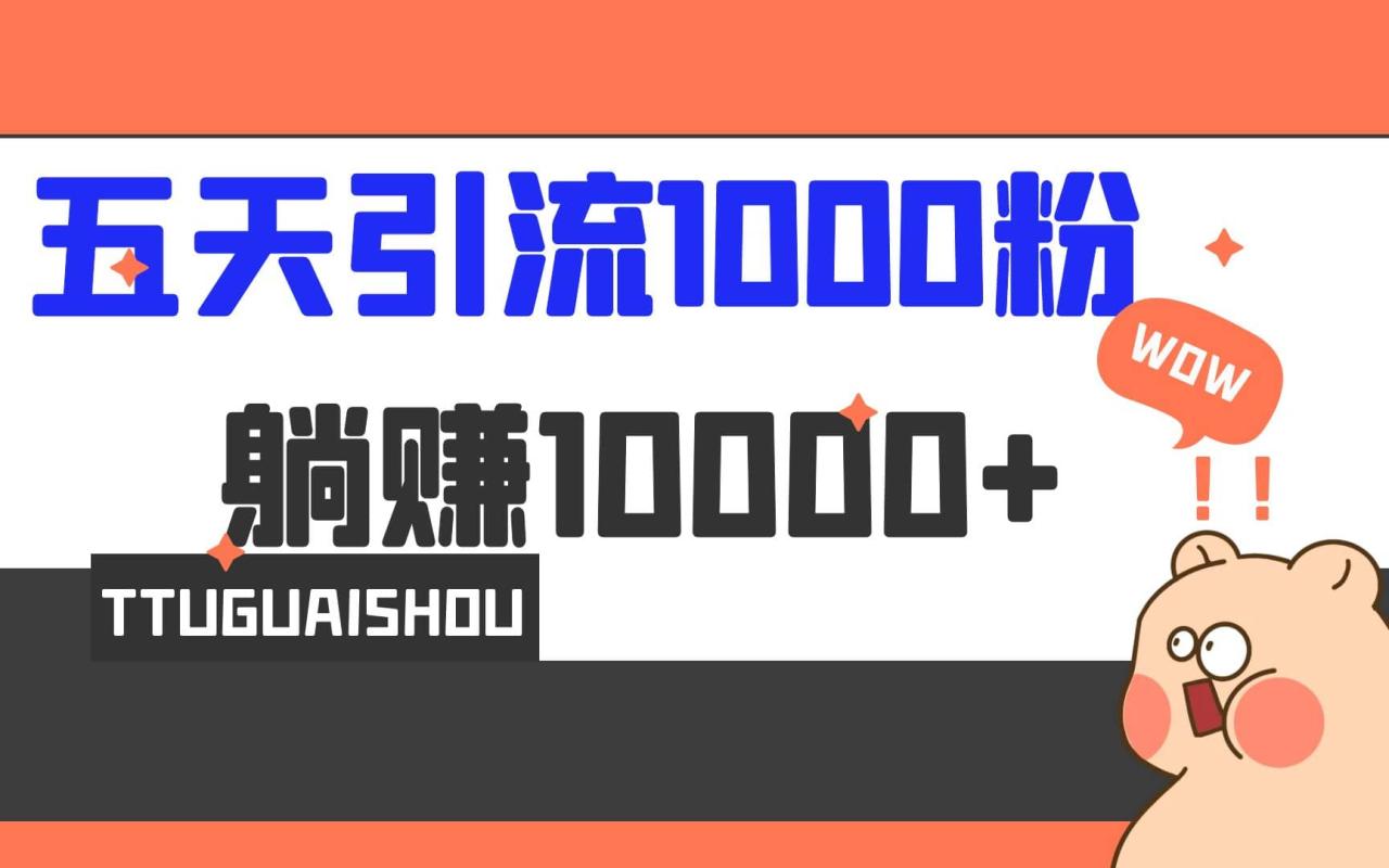 5天引流1000+，赚了1w+-智宇达资源网