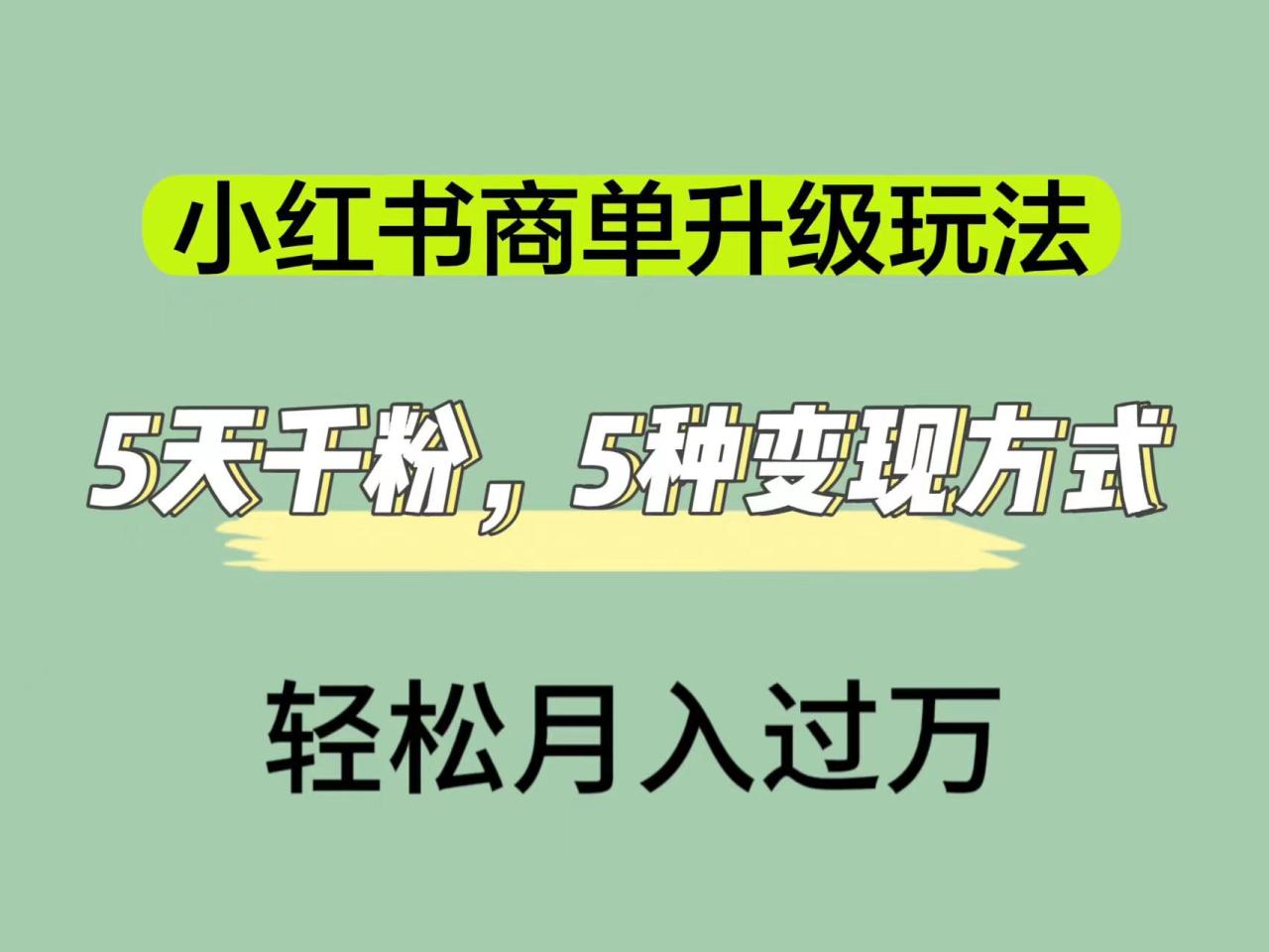 小红书商单升级玩法，5天千粉，5种变现渠道，轻松月入1万+-智宇达资源网