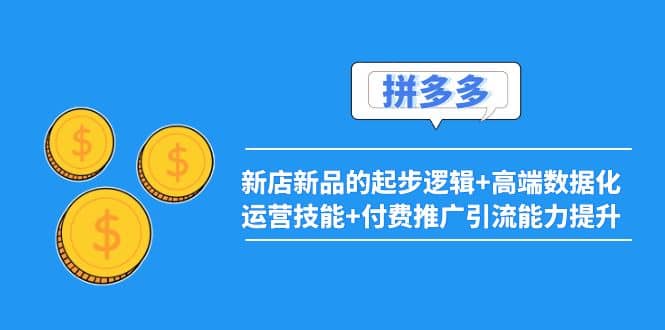 2022拼多多：新店新品的起步逻辑+高端数据化运营技能+付费推广引流能力提升-智宇达资源网