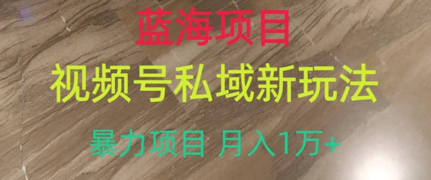 蓝海项目，视频号私域新玩法，暴力项目月入1万+【揭秘】-智宇达资源网