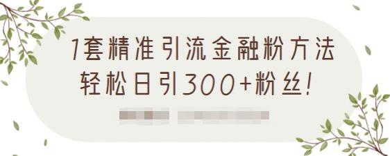 1套精准引流金融粉方法，轻松日引300+粉丝【视频课程】-智宇达资源网