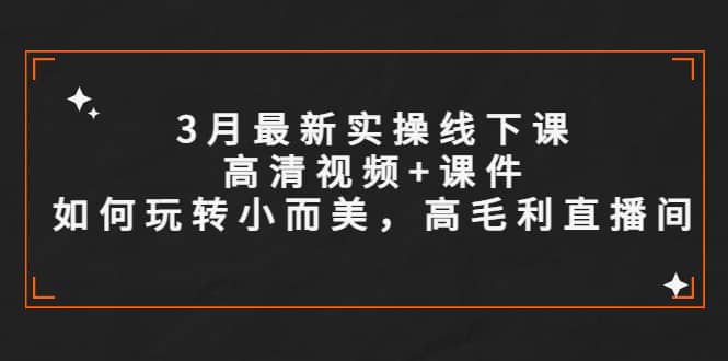 3月最新实操线下课高清视频+课件，如何玩转小而美，高毛利直播间-智宇达资源网