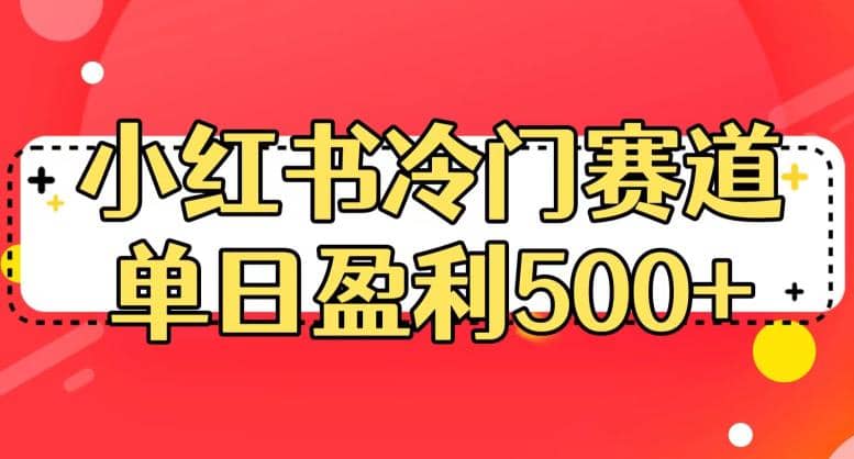 小红书冷门赛道，单日盈利500+【揭秘】-智宇达资源网