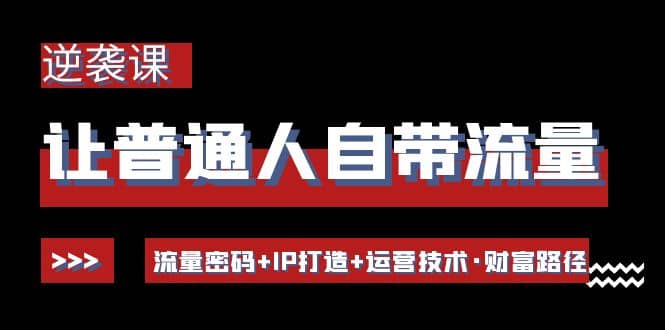 让普通人自带流量的逆袭课：流量密码+IP打造+运营技术·财富路径-智宇达资源网