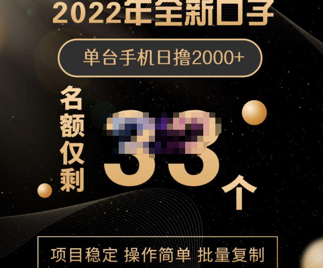 2022年全新口子，手机批量搬砖玩法，一部手机日撸2000+-智宇达资源网