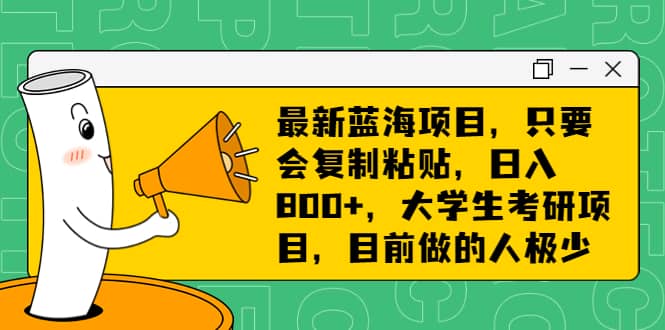 最新蓝海项目，只要会复制粘贴，日入800+，大学生考研项目，目前做的人极少-智宇达资源网