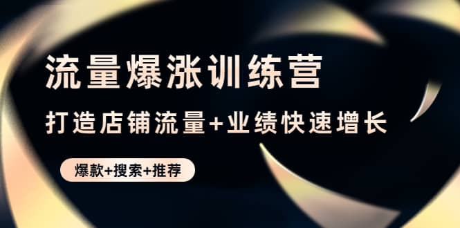 流量爆涨训练营：打造店铺流量+业绩快速增长 (爆款+搜索+推荐)-智宇达资源网