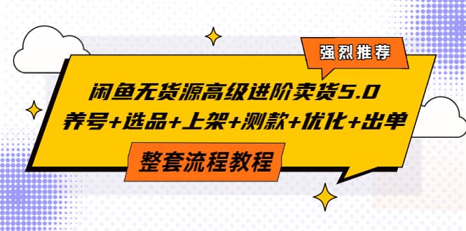 闲鱼无货源高级进阶卖货5.0，养号+选品+上架+测款+优化+出单整套流程教程-智宇达资源网