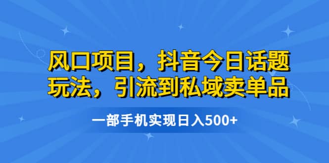 风口项目，抖音今日话题玩法，引流到私域卖单品，一部手机实现日入500+-智宇达资源网