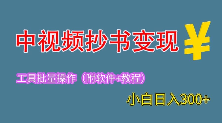 2023中视频抄书变现（附工具+教程），一天300+，特别适合新手操作的副业-智宇达资源网