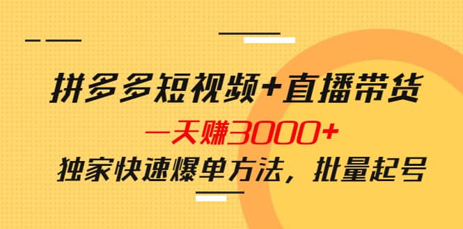 图片[1]-拼多多短视频+直播带货，一天赚3000+独家快速爆单方法，批量起号-智宇达资源网