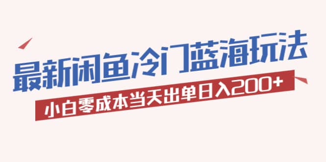 2023最新闲鱼冷门蓝海玩法，小白零成本当天出单日入200+-智宇达资源网