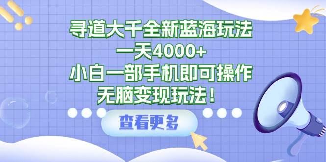 寻道大千全新蓝海玩法，一天4000+，小白一部手机即可操作，无脑变现玩法！-智宇达资源网