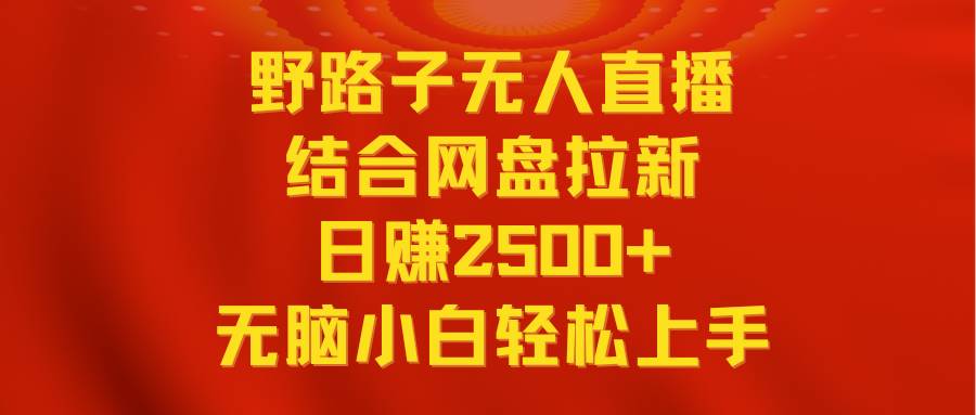 图片[1]-无人直播野路子结合网盘拉新，日赚2500+多平台变现，小白无脑轻松上手操作-智宇达资源网