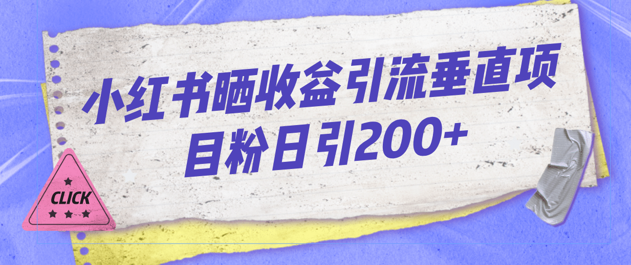 小红书晒收益图引流垂直项目粉日引200+-智宇达资源网