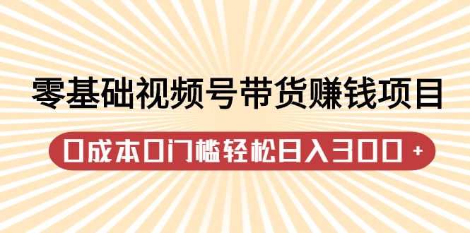 零基础视频号带货赚钱项目，0成本0门槛轻松日入300+【视频教程】-智宇达资源网